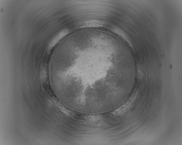 X0000073530874200607311246