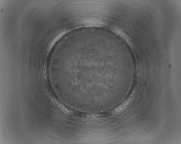 X0000073530875200607311246