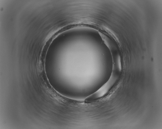 X0000073530876200607311246