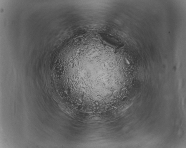 X0000073530913200607311245