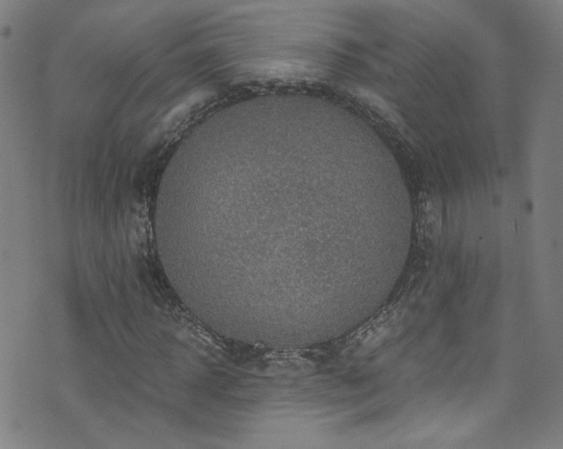 X0000073530918200607311245