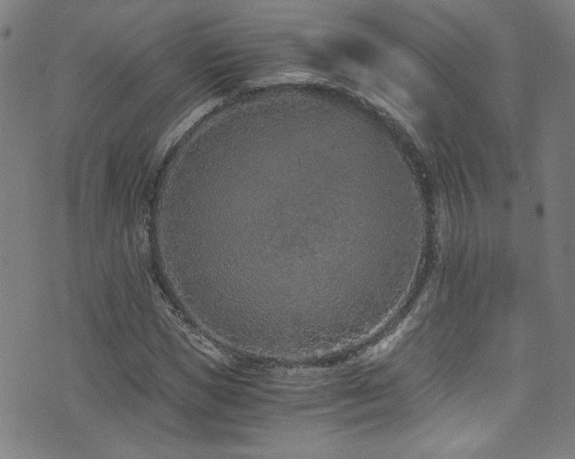 X0000073530921200607311245