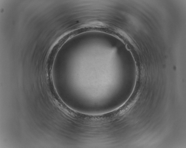 X0000073530923200607311245