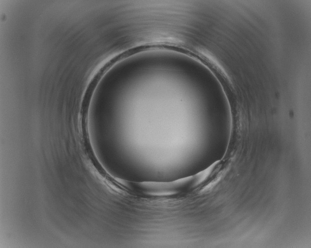 X0000073530932200607311245