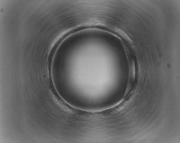 X0000073530934200607311245