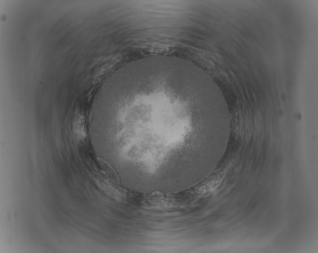 X0000073530962200607311245