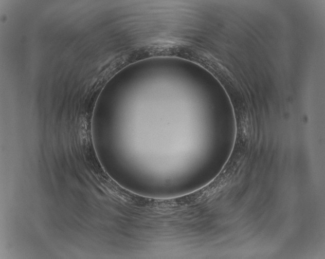 X0000073530964200607311245