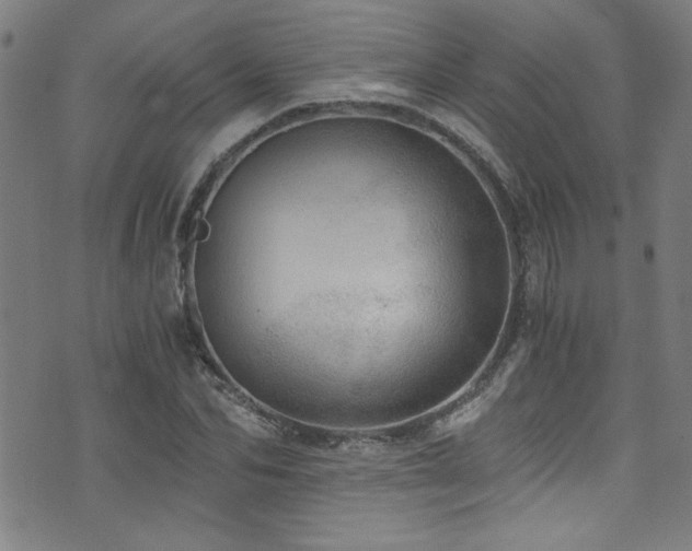 X0000073530974200607311245