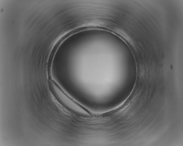 X0000073530980200607311245