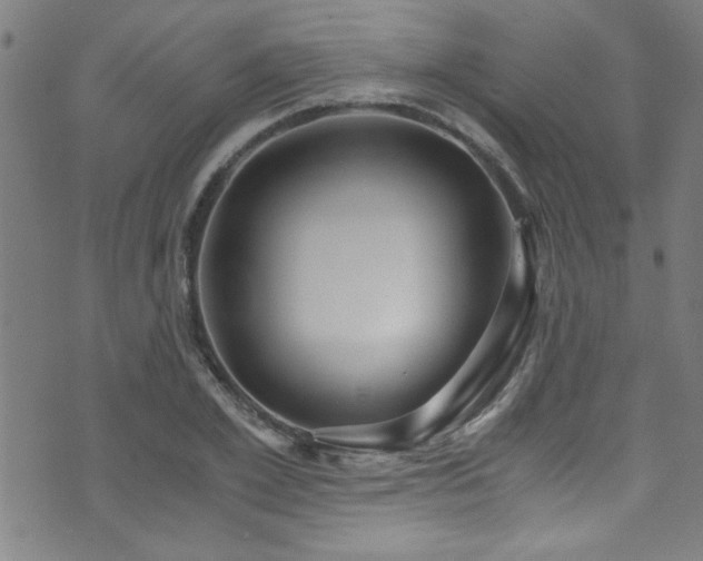 X0000073530981200607311245
