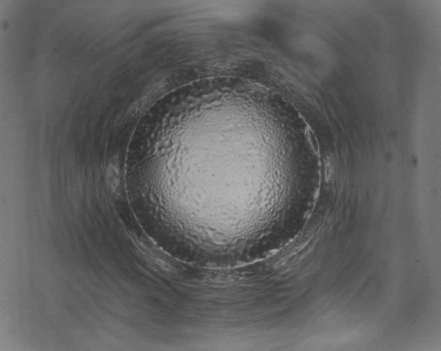 X0000073531011200607311244