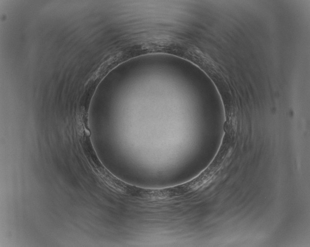 X0000073531012200607311244