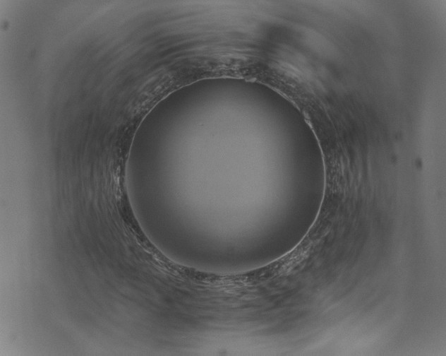 X0000073531013200607311244