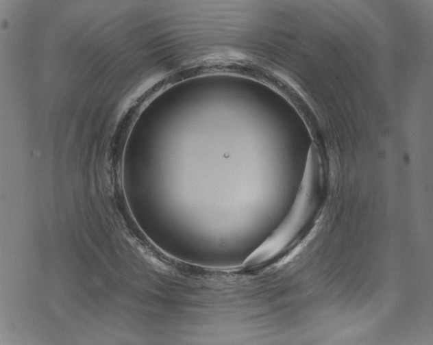 X0000073531018200607311244