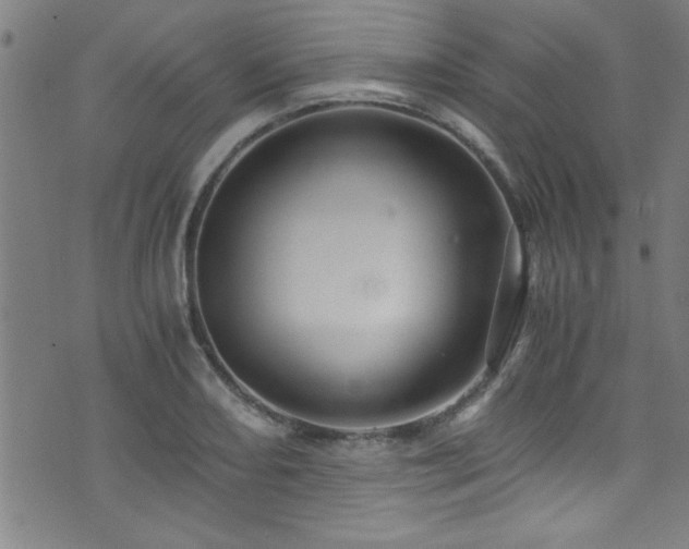 X0000073531082200607311243