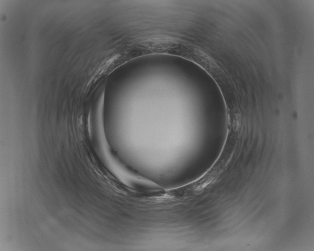 X0000073531108200607311242