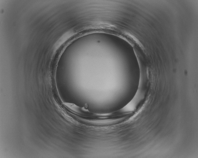 X0000073531114200607311242