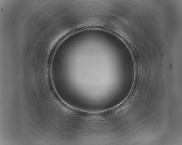 X0000073531119200607311242