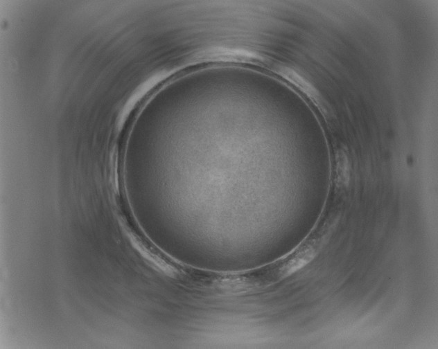 X0000073531128200607311242