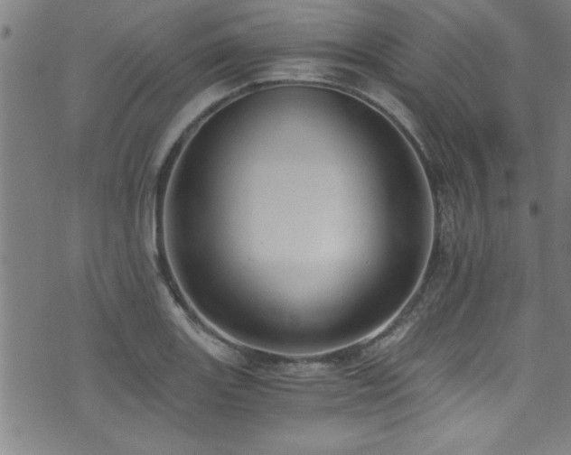 X0000073531131200607311242
