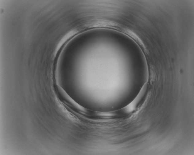 X0000073531138200607311242