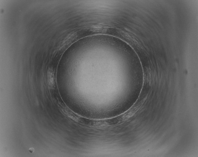 X0000073531154200607311242