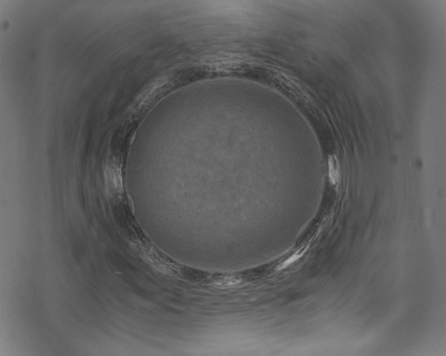 X0000073531155200607311242
