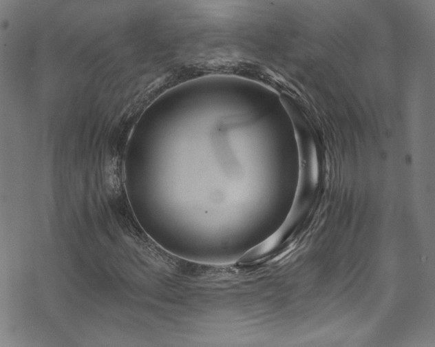 X0000073531156200607311242