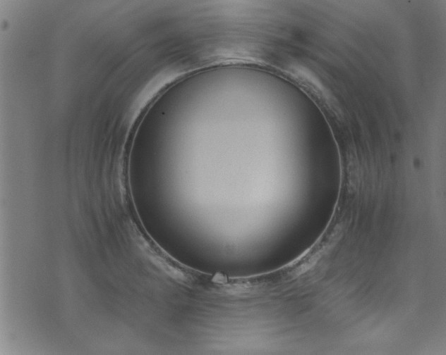 X0000073531182200607311241