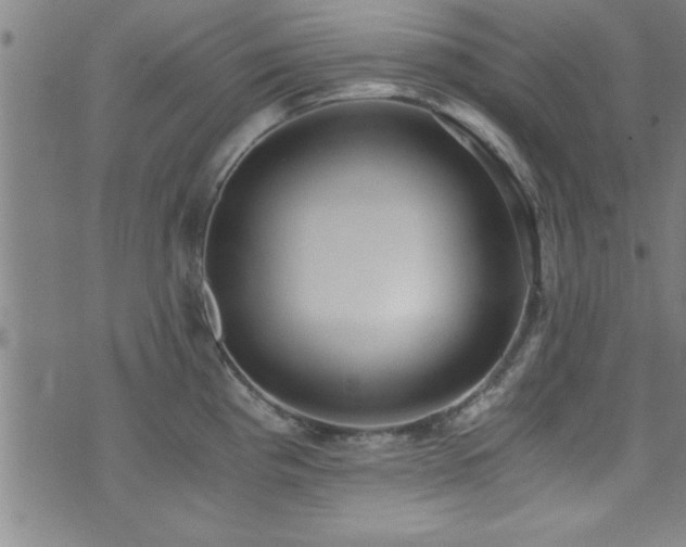X0000073531193200607311241