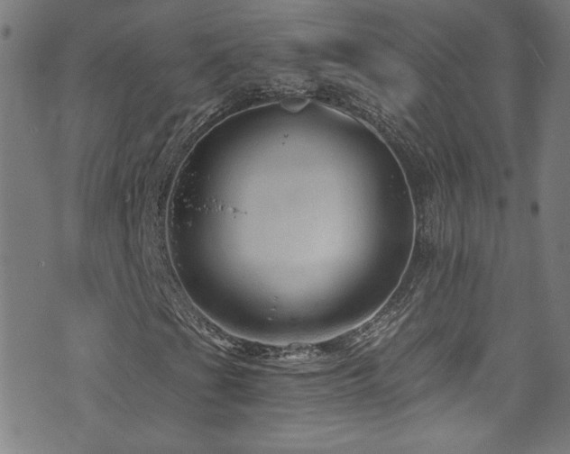 X0000073531201200607311240