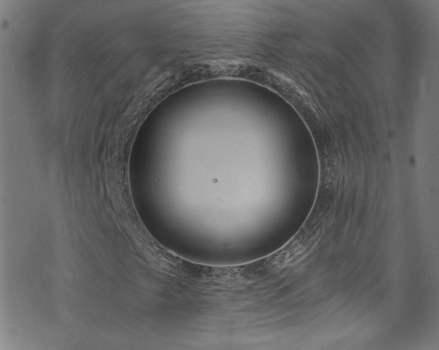 X0000073531249200607311240