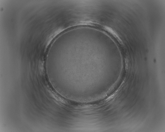 X0000073531260200607311240