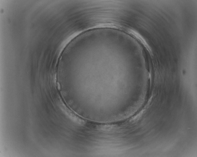 X0000073531284200607311240