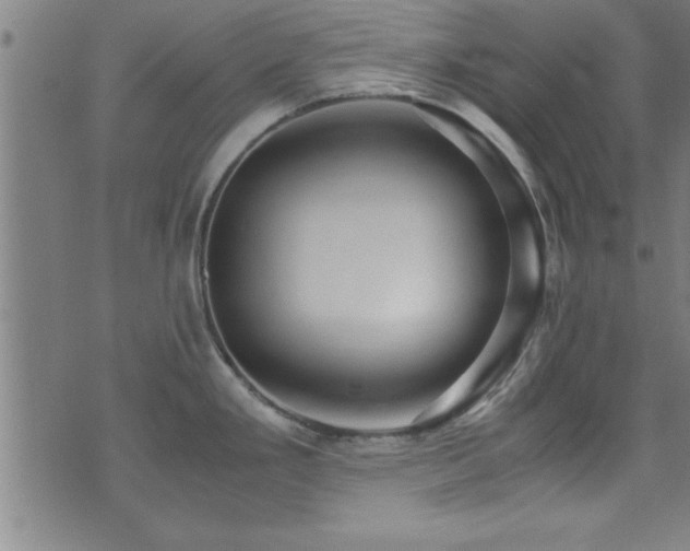 X0000073531293200607311240