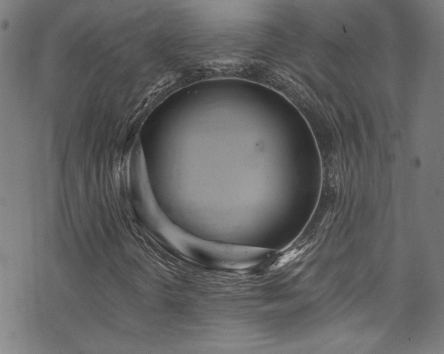X0000073531298200607311239