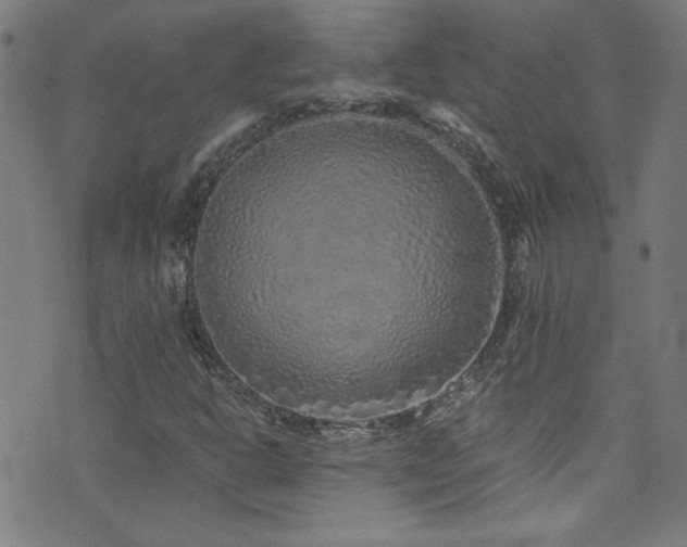 X0000073531302200607311239