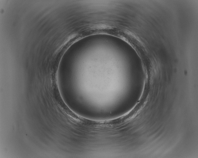 X0000073531305200607311239