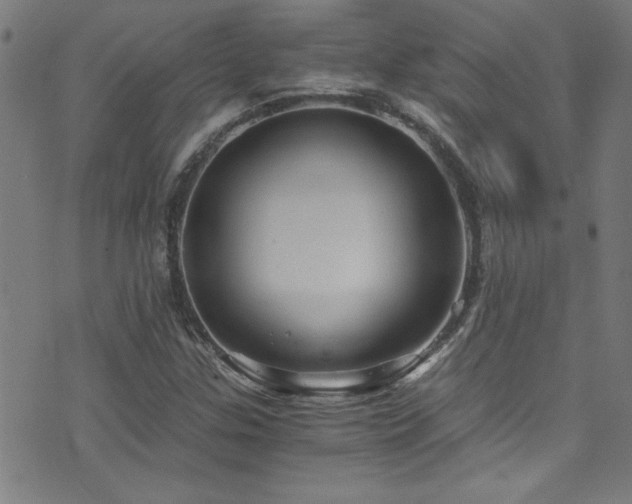 X0000073531307200607311239