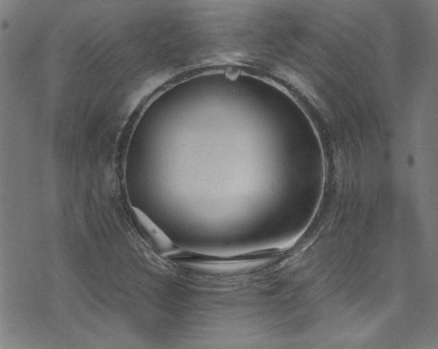 X0000073531308200607311239