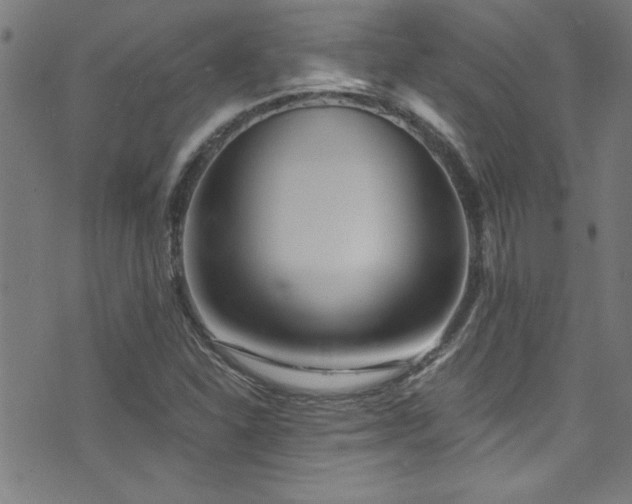 X0000073531310200607311239
