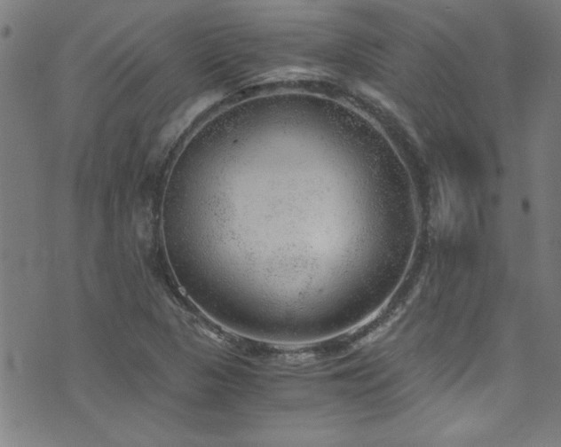 X0000073531313200607311239