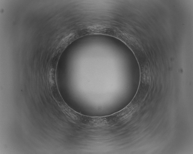 X0000073531346200607311239