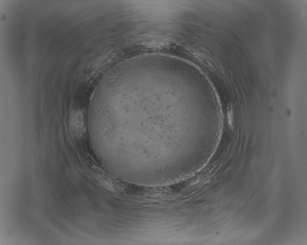 X0000073531347200607311239