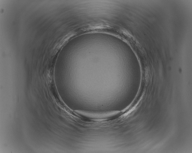 X0000073531353200607311239