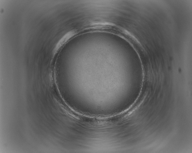 X0000073531362200607311238