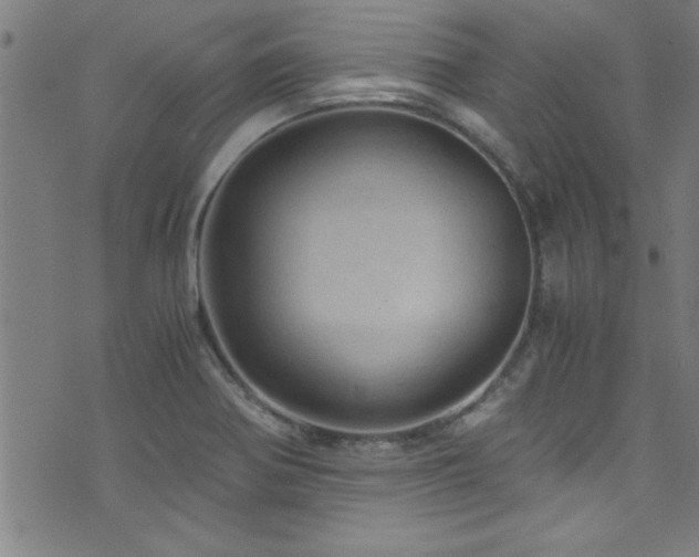 X0000073531370200607311238