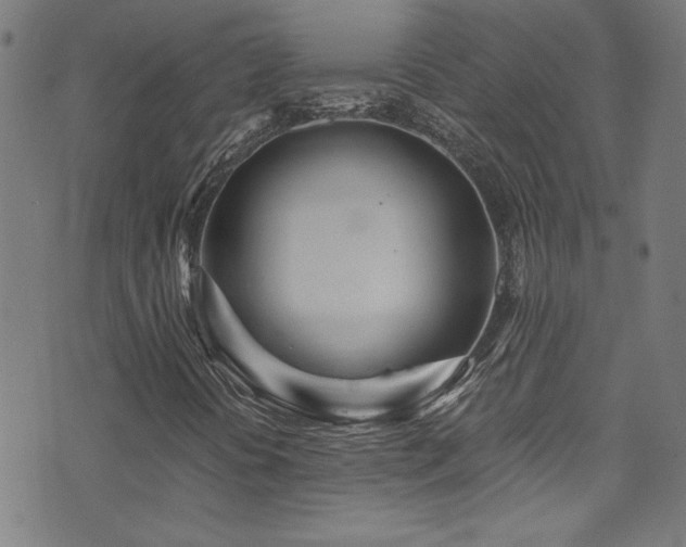 X0000073531394200607311237