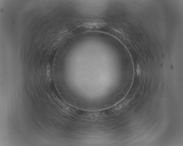 X0000073531396200607311237