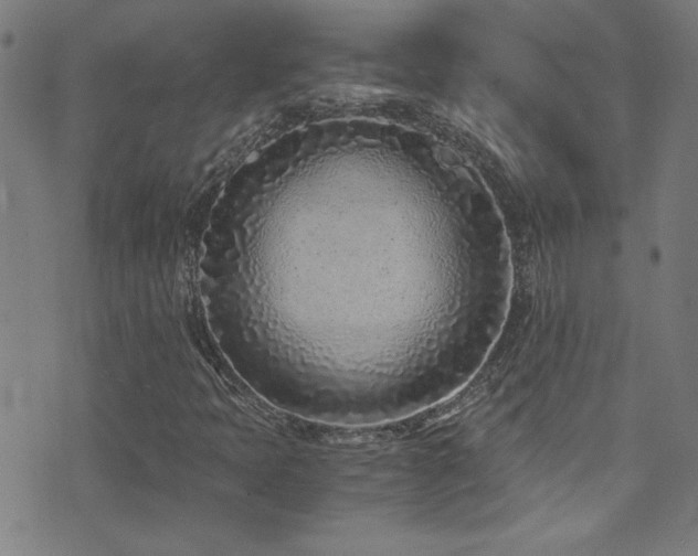 X0000073531397200607311237